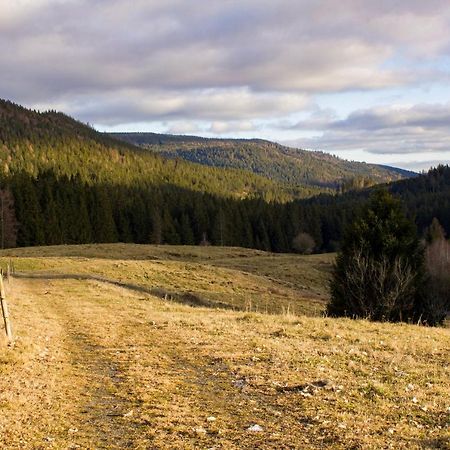 Gemuetliche Ferienwohnung - Mitten Im Schwarzwald Bernau im Schwarzwald Exterior foto