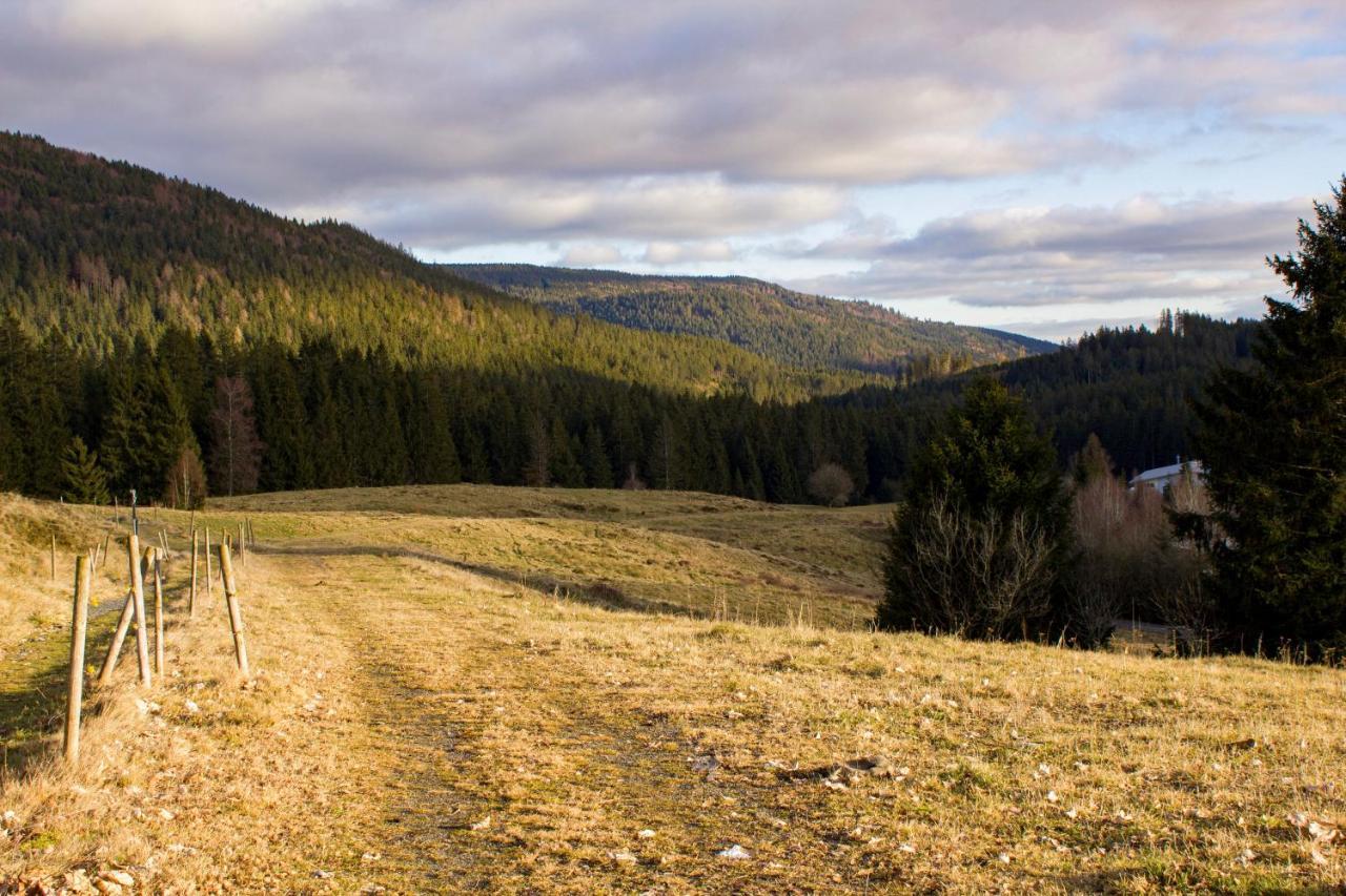Gemuetliche Ferienwohnung - Mitten Im Schwarzwald Bernau im Schwarzwald Exterior foto
