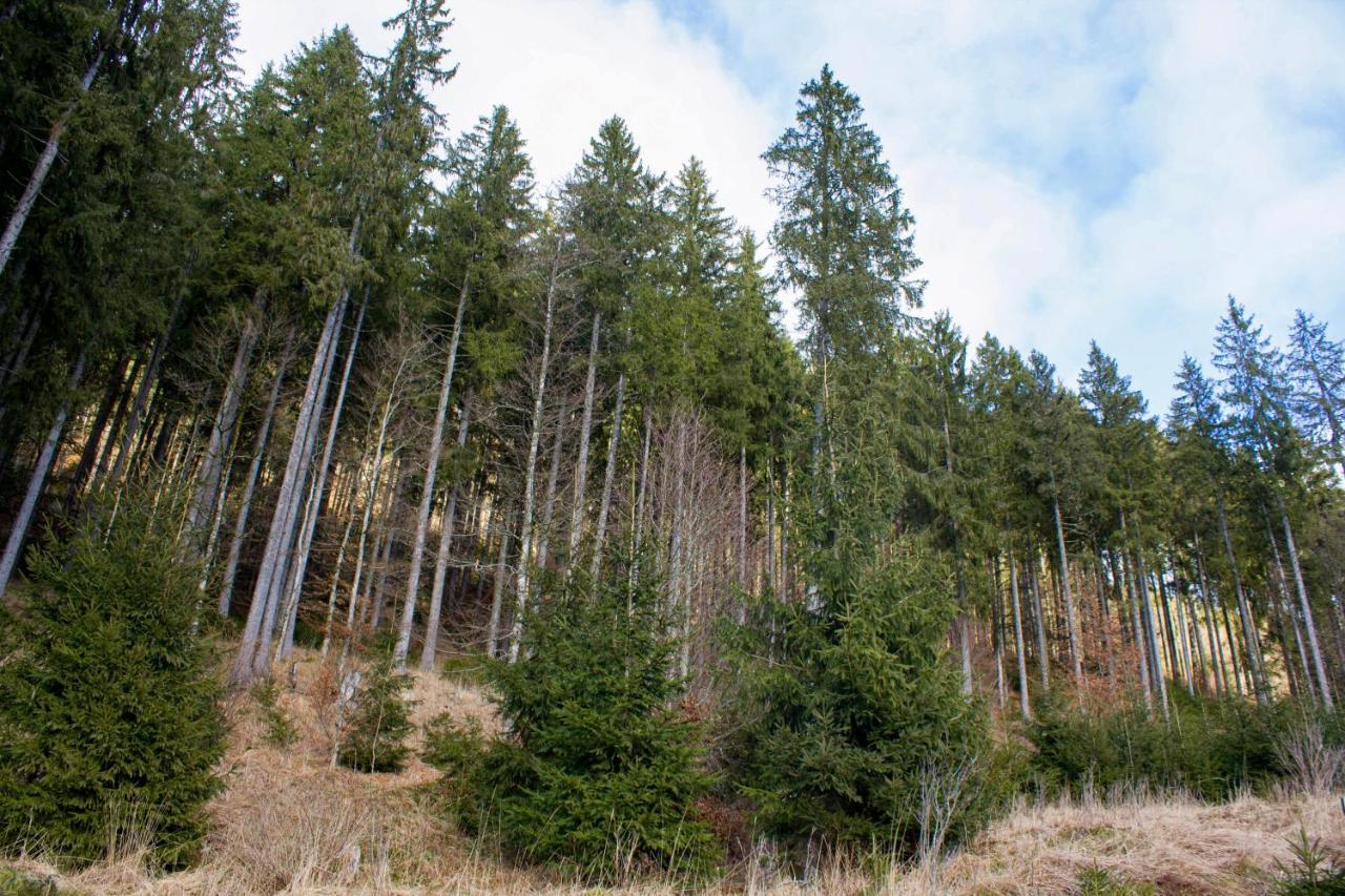 Gemuetliche Ferienwohnung - Mitten Im Schwarzwald Bernau im Schwarzwald Exterior foto